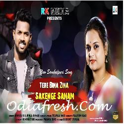 Tere Bina Zina Sakenge Sanam